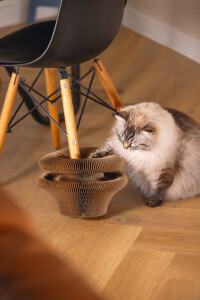 Beeztees Kedi Karton Tırmalama ve Oyuncağı, 38x10cm - 2