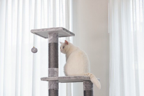 Beeztees Kedi Köşe Tırmalama ve Oyun Evi, Gri, 40x40x135cm - 17