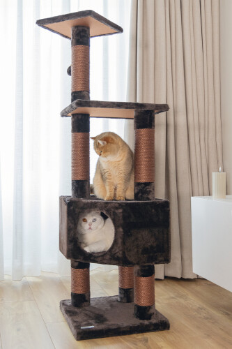 Beeztees Kedi Köşe Tırmalama ve Oyun Evi, Kahverengi, 40x40x135cm - 3