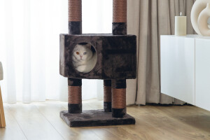 Beeztees Kedi Köşe Tırmalama ve Oyun Evi, Kahverengi, 40x40x135cm - 14