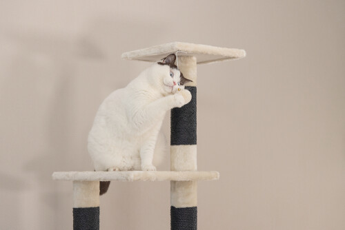 Beeztees Kedi Köşe Tırmalama ve Oyun Evi, Krem, 40x40x135cm - 14