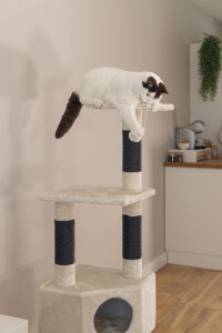Beeztees Kedi Köşe Tırmalama ve Oyun Evi, Krem, 40x40x135cm - 7