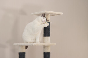 Beeztees Kedi Köşe Tırmalama ve Oyun Evi, Krem, 40x40x135cm - 14