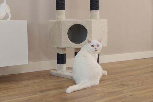 Beeztees Kedi Köşe Tırmalama ve Oyun Evi, Krem, 40x40x135cm - 15