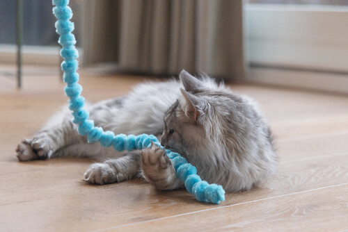 Beeztees Kedi Oltası, Peluş Toplar - 2