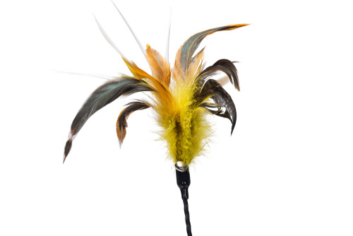 Beeztees Kedi Oltası, Tüylü, Çeşitli Renklerde, - 20