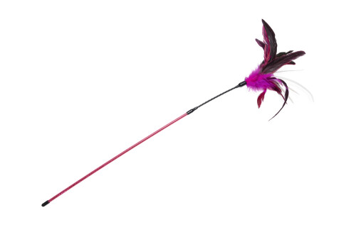 Beeztees Kedi Oltası, Tüylü, Çeşitli Renklerde, - 8