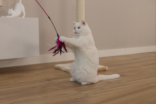 Beeztees Kedi Oltası, Tüylü, Çeşitli Renklerde, - 9