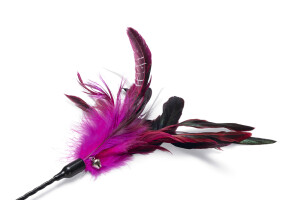 Beeztees Kedi Oltası, Tüylü, Çeşitli Renklerde, - 4