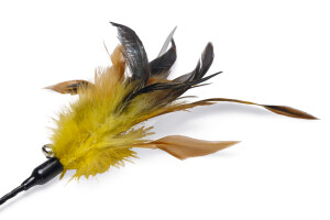 Beeztees Kedi Oltası, Tüylü, Çeşitli Renklerde, - 22