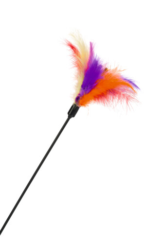 Beeztees Kedi Oltası, Tüylü Uc-12cm, 45cm - 1