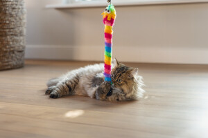 Beeztees Kedi Oltası, Zilli, Peluş Oyuncaklı, - 2