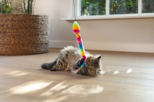 Beeztees Kedi Oltası, Zilli, Peluş Oyuncaklı, - 8