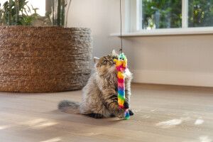 Beeztees Kedi Oltası, Zilli, Peluş Oyuncaklı, - 13