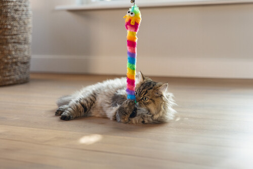 Beeztees Kedi Oltası, Zilli, Peluş Oyuncaklı, - 2