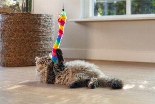 Beeztees Kedi Oltası, Zilli, Peluş Oyuncaklı, - 3