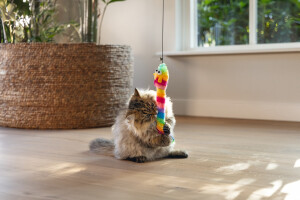 Beeztees Kedi Oltası, Zilli, Peluş Oyuncaklı, - 4