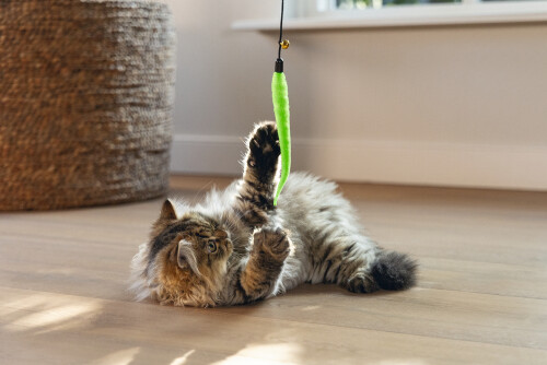 Beeztees Kedi Oltası, Zilli, Peluş Oyuncaklı, Çeşitli Renklerde, - 7