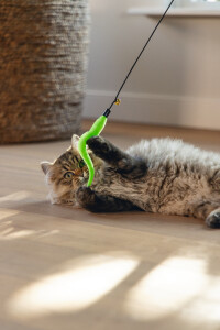 Beeztees Kedi Oltası, Zilli, Peluş Oyuncaklı, Çeşitli Renklerde, - 2