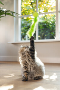 Beeztees Kedi Oltası, Zilli, Peluş Top ve Kuyruk, - 4