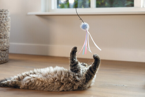 Beeztees Kedi Oltası, Zilli, Tüylü Top ve Kurdelalar, - 12