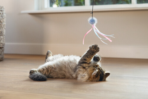 Beeztees Kedi Oltası, Zilli, Tüylü Top ve Kurdelalar, - 4