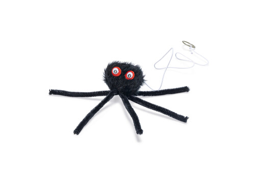 Beeztees Kedi Oyuncağı, Elastik İpli Örümcek, 17cm - 1