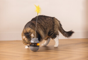 Beeztees Kedi Oyuncağı, Hacıyatmaz, İçinde Top, Ucunda Tüy, 10x10x42cm - 4