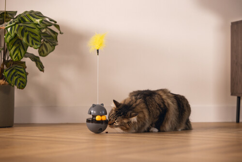 Beeztees Kedi Oyuncağı, Hacıyatmaz, İçinde Top, Ucunda Tüy, 10x10x42cm - 5