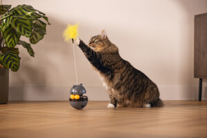 Beeztees Kedi Oyuncağı, Hacıyatmaz, İçinde Top, Ucunda Tüy, 10x10x42cm - 6