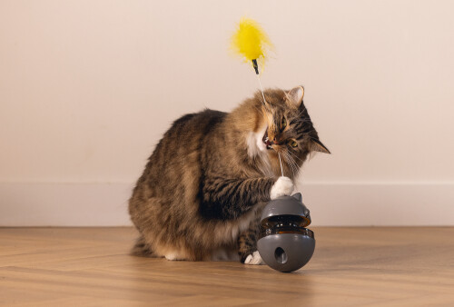 Beeztees Kedi Oyuncağı, Hacıyatmaz, İçinde Top, Ucunda Tüy, 10x10x42cm - 8