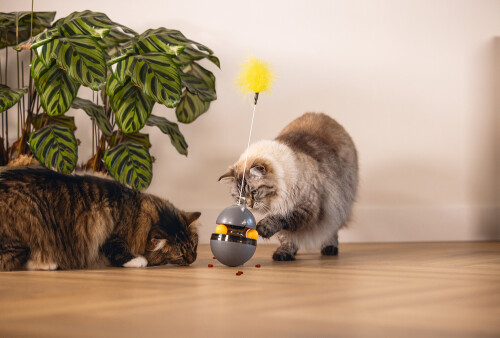 Beeztees Kedi Oyuncağı, Hacıyatmaz, İçinde Top, Ucunda Tüy, 10x10x42cm - 2