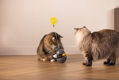 Beeztees Kedi Oyuncağı, Hacıyatmaz, İçinde Top, Ucunda Tüy, 10x10x42cm - 7