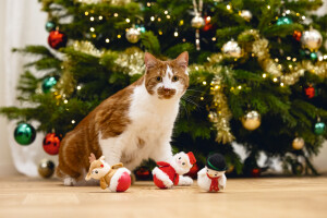 Beeztees Kedi Oyuncağı, Hacıyatmaz, Peluş Oyuncaklı, Çeşitli Renklerde 10x7x7cm - 2