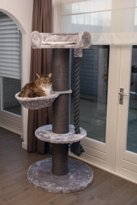 Beeztees Kedi Tırmalama, Gri, 80x80x170cm - 2