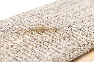 Beeztees Kedi Tırmalama ve Kediotu, XL, 70x17x3cm - 2