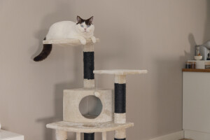 Beeztees Kedi Tırmalama ve Oyun Evi, Krem, 50x50x123cm - 8