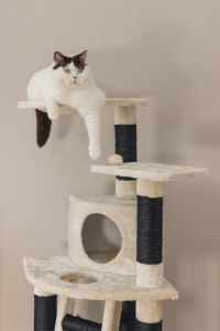Beeztees Kedi Tırmalama ve Oyun Evi, Krem, 50x50x123cm - 10