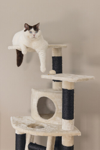 Beeztees Kedi Tırmalama ve Oyun Evi, Krem, 50x50x123cm - 10