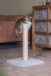 Beeztees Kedi Tırmalama ve Oyuncağı, Gri, 35x35x53cm - 2