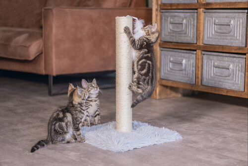 Beeztees Kedi Tırmalama ve Oyuncağı, Gri, 35x35x53cm - 4