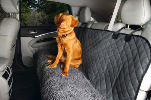 Beeztees Köpek Arka Koltuk Yatağı ve Örtüsü, Yıkanabilir, Gri, 136x148cm - Beeztees