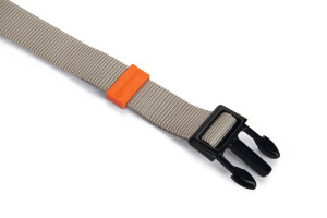 Beeztees Köpek Boyun Tasması, Açık Gri, 48-70cm - 2