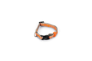 Beeztees Köpek Boyun Tasması, Açık Gri Turuncu, 20-30cm - 1