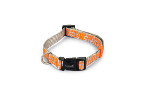 Beeztees Köpek Boyun Tasması, Açık Gri Turuncu, 35-50cm - 1