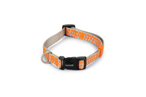 Beeztees Köpek Boyun Tasması, Açık Gri Turuncu, 35-50cm - 1