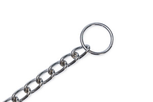 Beeztees Köpek Boyun Tasması, Zincir, 50x1x0,30cm - 6