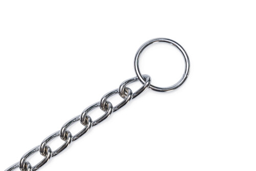 Beeztees Köpek Boyun Tasması, Zincir, 50x1x0,30cm - 6