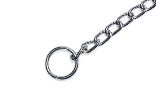 Beeztees Köpek Boyun Tasması, Zincir, 70x1x0,30cm - 4