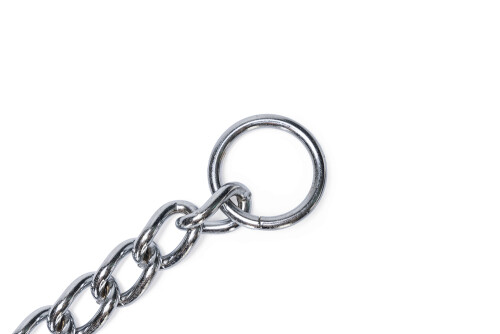 Beeztees Köpek Boyun Tasması, Zincir, 80x1x0,40cm - 5